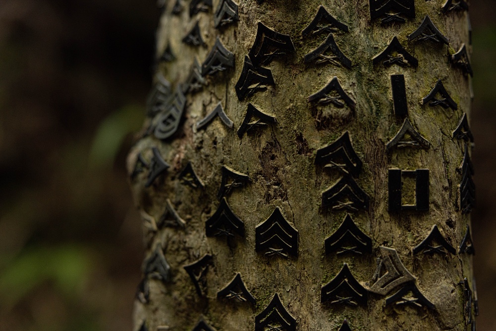 U.S. Marines with CLR-37 Conduct Basic Jungle Skills Course
