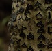 U.S. Marines with CLR-37 Conduct Basic Jungle Skills Course