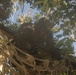 U.S. Marines with CLR-37 Conduct Basic Jungle Skills Course