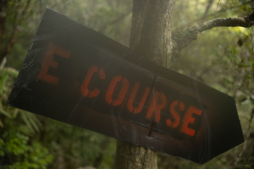 U.S. Marines with CLR-37 Conduct Basic Jungle Skills Course