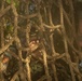 U.S. Marines with CLR-37 Conduct Basic Jungle Skills Course