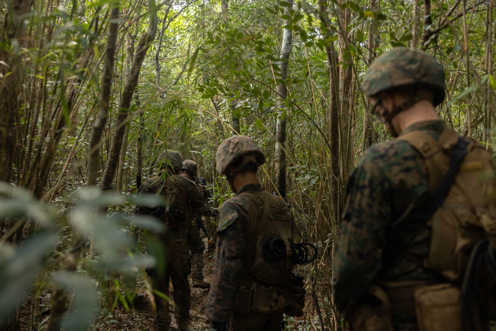 U.S. Marines with CLR-37 Conduct Basic Jungle Skills Course