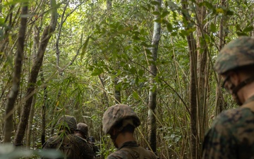 U.S. Marines with CLR-37 Conduct Basic Jungle Skills Course