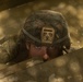 U.S. Marines with CLR-37 Conduct Basic Jungle Skills Course