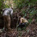 Pre-deployment site survey to Vietnam 25-3VN