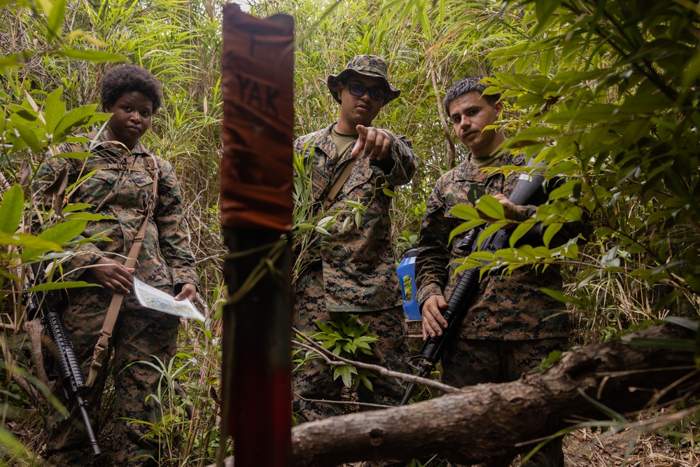 U.S. Marines With CLR-37 Participate in Exercise Tatsu 25