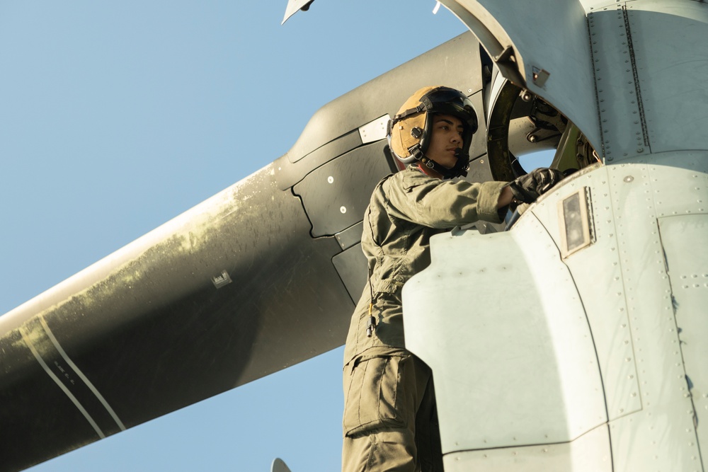 U.S. Marines with VMM-266 conduct assault support operations with Royal Netherlands Marines