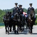 Full Military Funeral Honors with Escort are Conducted for U.S. Air Force Lt. Col. Donald Downing in Section 75