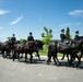 Full Military Funeral Honors with Escort are Conducted for U.S. Air Force Lt. Col. Donald Downing in Section 75