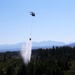 Army National Guard and Central Pierce Fire Department Conduct Water Bucket Training