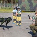 Tag Der Bundeswehr 2025
