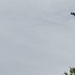 104th Fighter Wing holds first annual Golf and Grow tournament, build resiliency