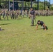 MCAS Beaufort MALS-31 Field Meet
