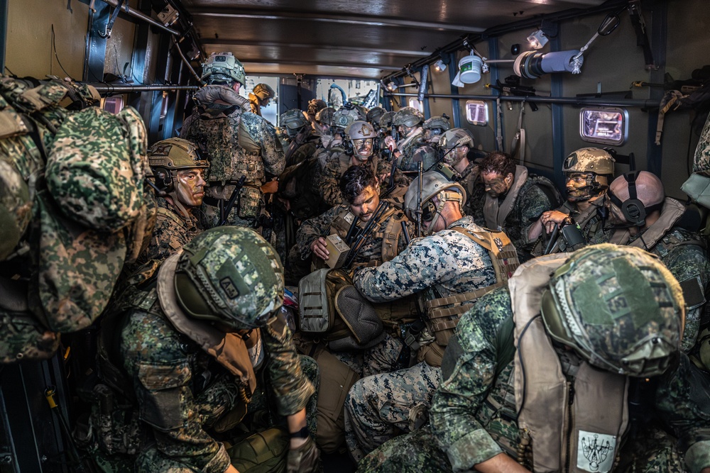 Atlantic Alliance 2025: Bilateral Training