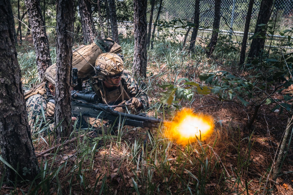 Atlantic Alliance 2025: Bilateral Training