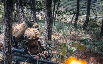 Atlantic Alliance 2025: Bilateral Training