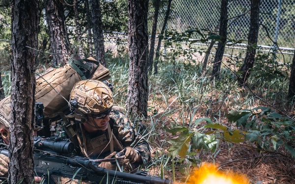 Atlantic Alliance 2025: Bilateral Training