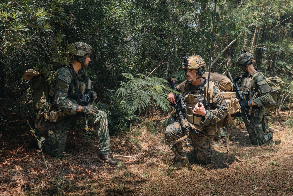 Atlantic Alliance 2025: Bilateral Training