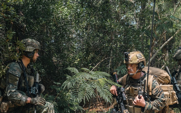 Atlantic Alliance 2025: Bilateral Training