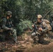 Atlantic Alliance 2025: Bilateral Training