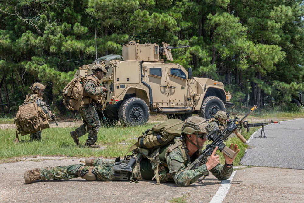 Atlantic Alliance 2025: Bilateral Training