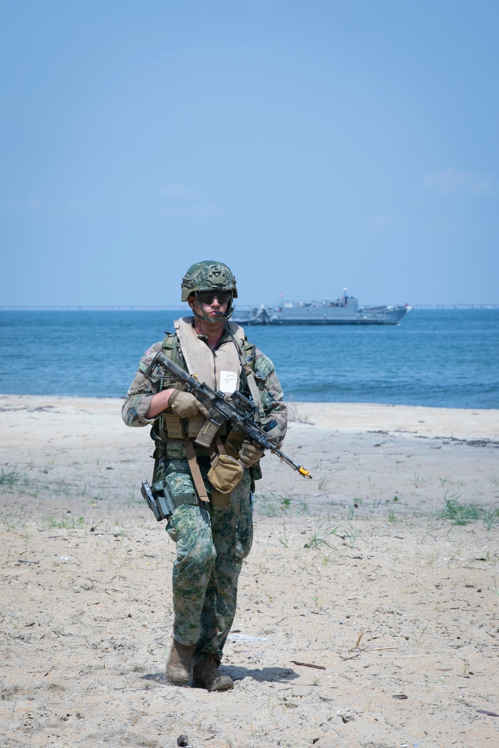 Atlantic Alliance 2025 Features Amphibious Assault Demonstration