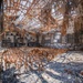 USACE supports Wildfire Debris Removal in Southern California