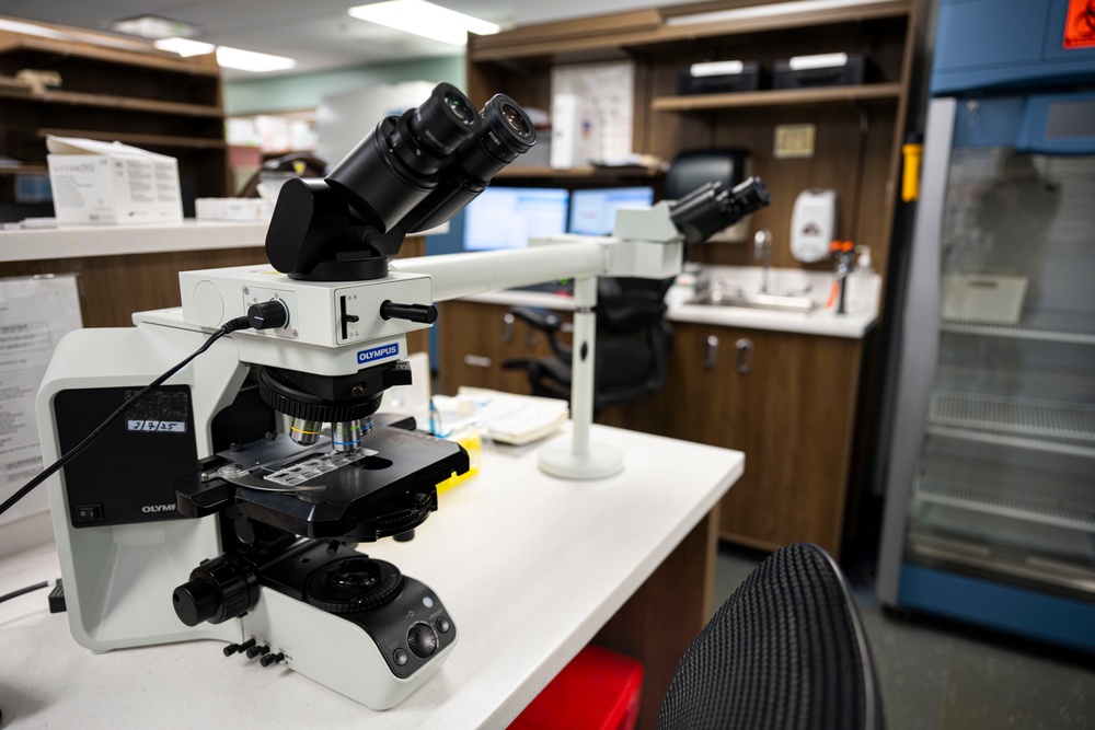The role of laboratory medicine in military health