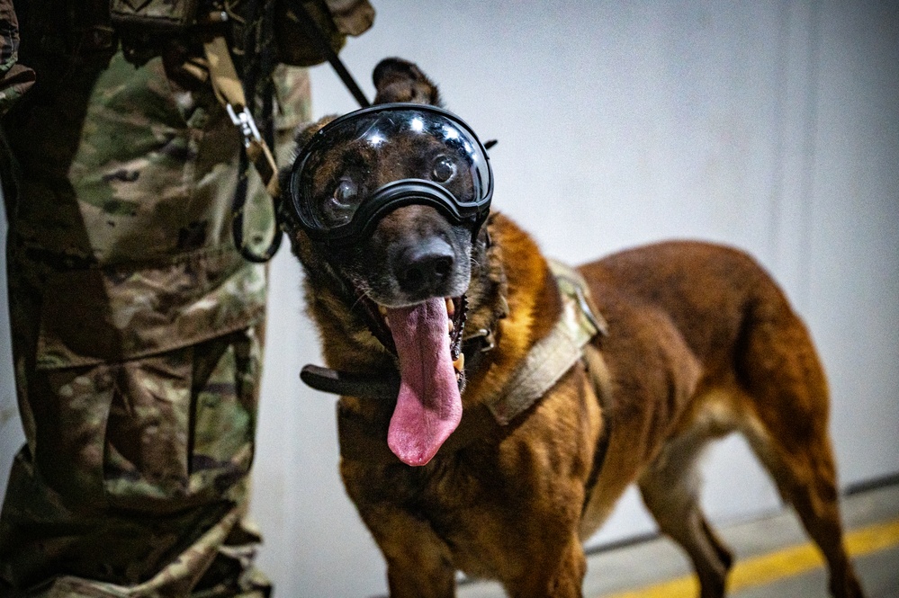 QRF undergoes close-quarters combat training