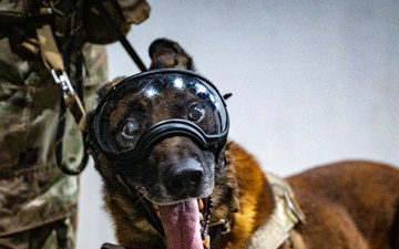 QRF undergoes close-quarters combat training