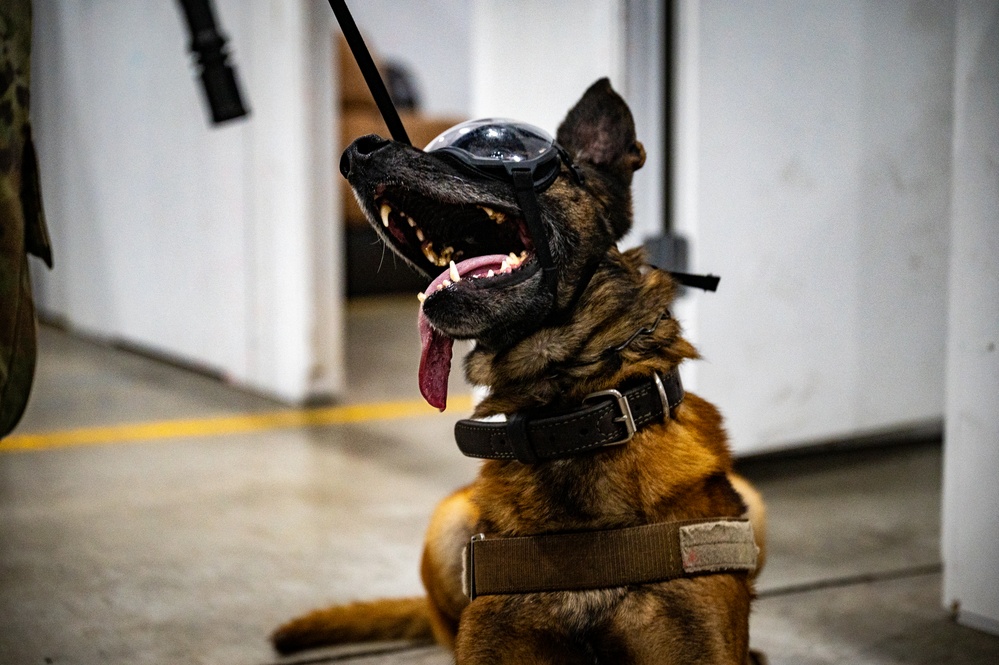 QRF undergoes close-quarters combat training
