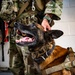 QRF undergoes close-quarters combat training