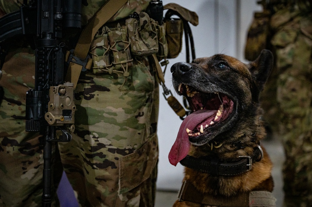 QRF undergoes close-quarters combat training