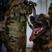 QRF undergoes close-quarters combat training