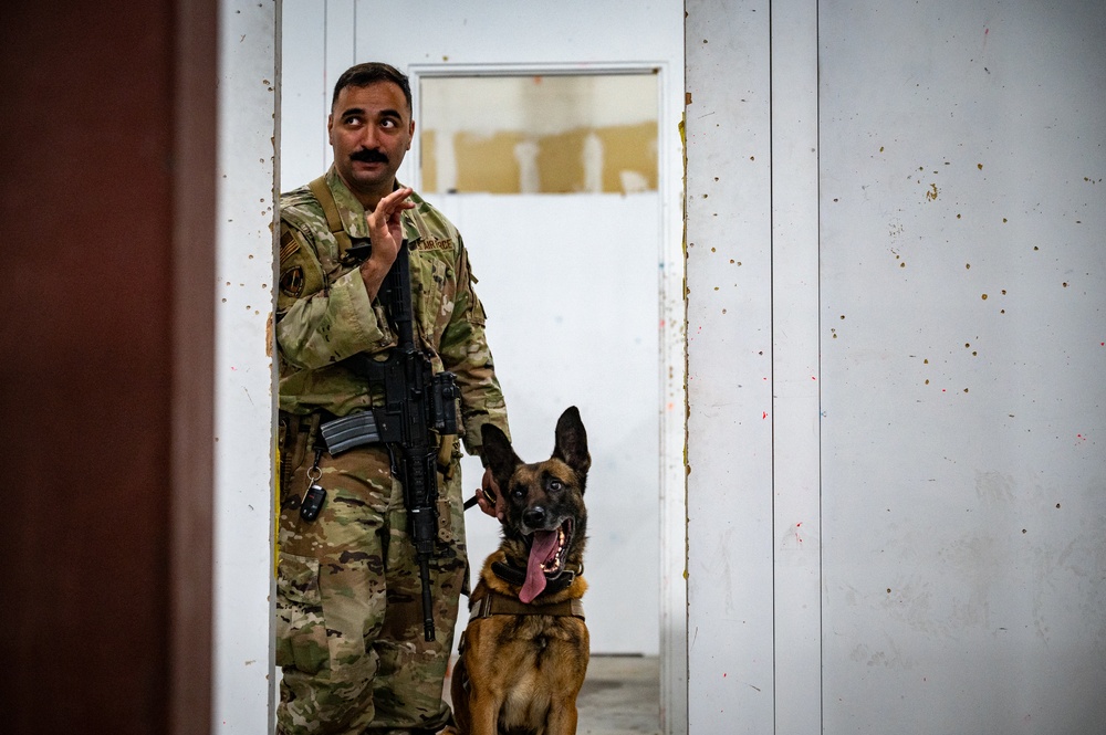 QRF undergoes close-quarters combat training