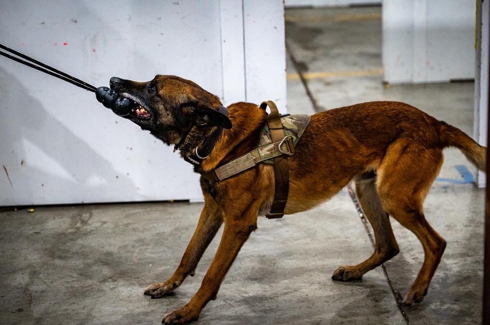 QRF undergoes close-quarters combat training