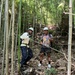 McCampbell Sailors Help Maintain Nagasaka Green Space