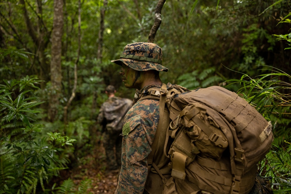 Jungle Leaders Course 25.2 | Jungle Warfare Tactics