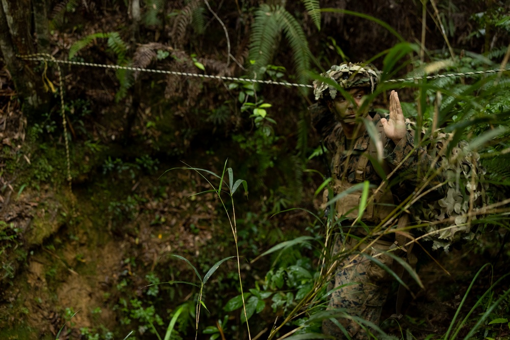 Jungle Leaders Course 25.2 | Jungle Warfare Tactics