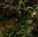 Jungle Leaders Course 25.2 | Jungle Warfare Tactics