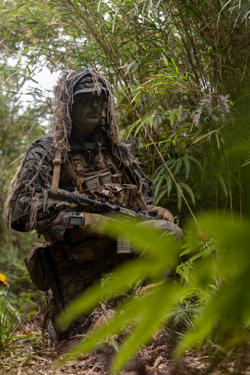 Jungle Leaders Course 25.2 | Jungle Warfare Tactics