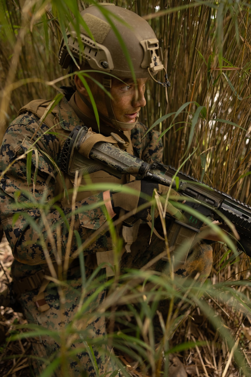 Jungle Leaders Course 25.2 | Jungle Warfare Tactics