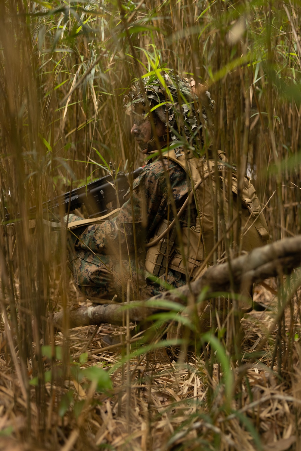 Jungle Leaders Course 25.2 | Jungle Warfare Tactics