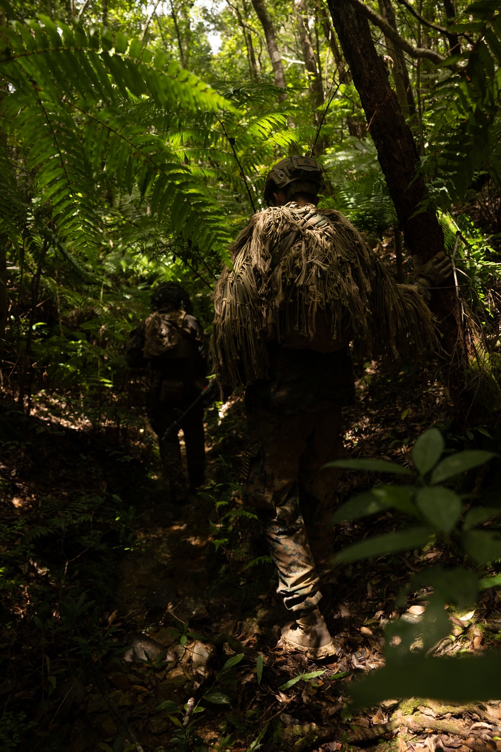 Jungle Leaders Course 25.2 | Jungle Warfare Tactics
