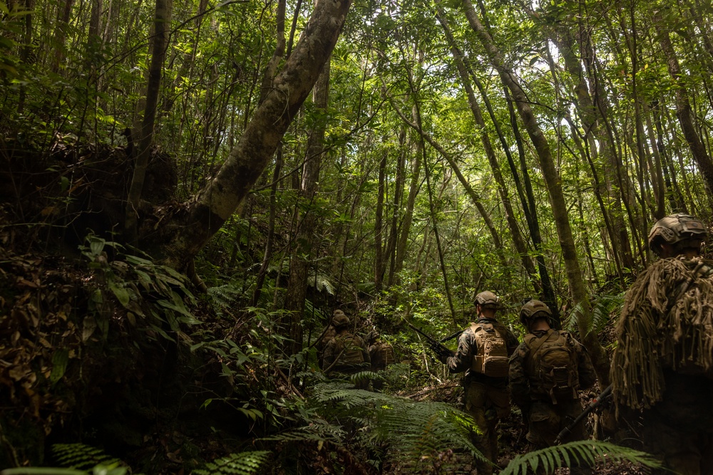 Jungle Leaders Course 25.2 | Jungle Warfare Tactics