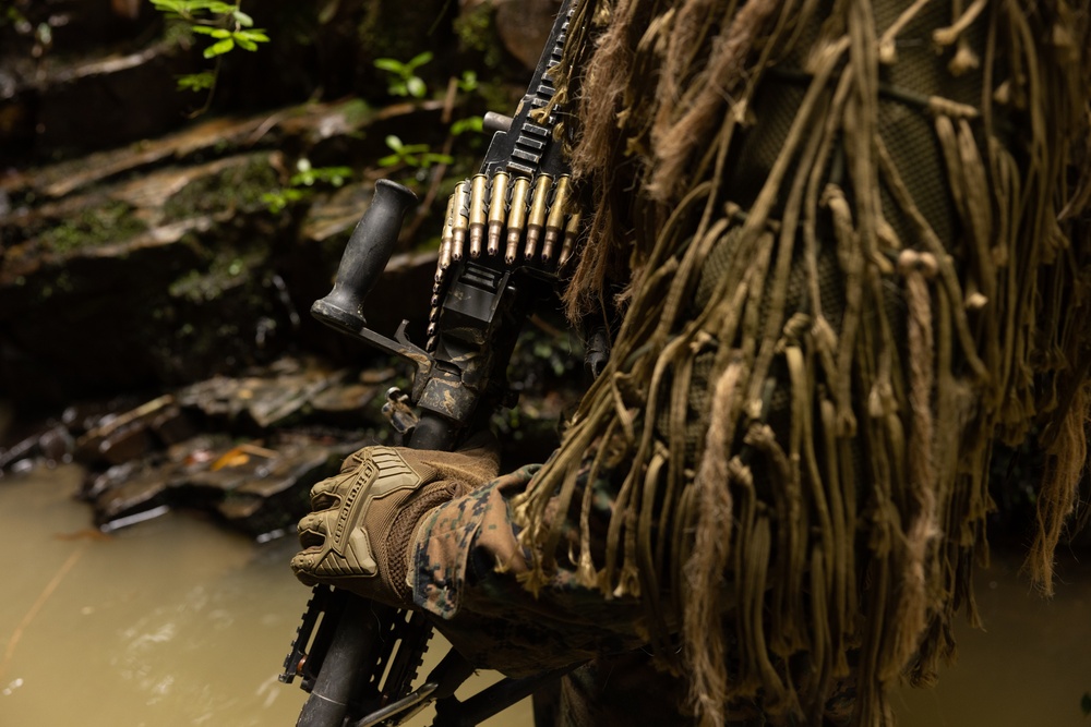 Jungle Leaders Course 25.2 | Jungle Warfare Tactics