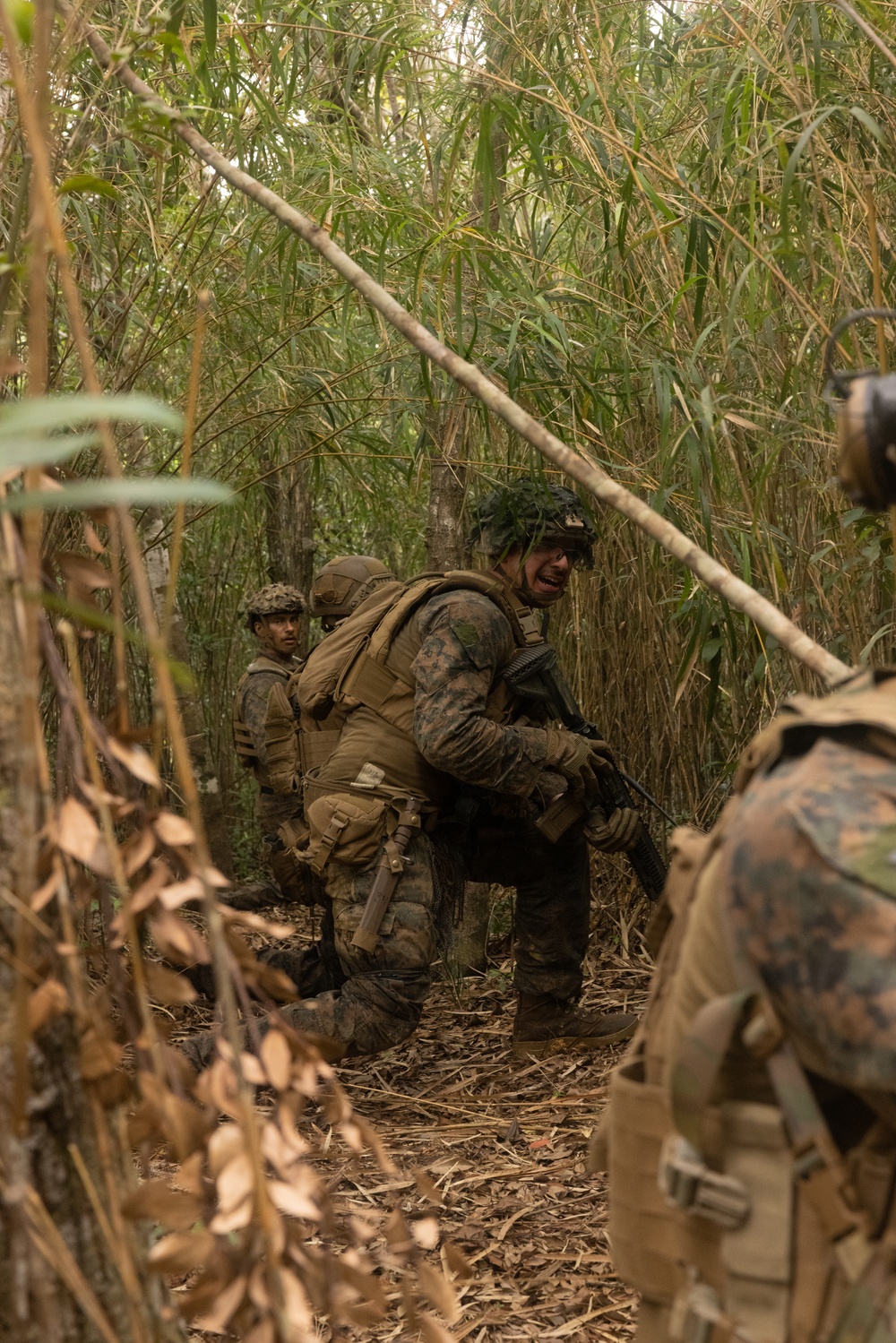 Jungle Leaders Course 25.2 | Jungle Warfare Tactics