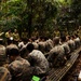 MRF-D 25.3: 3rd Bn., 11th Marines, receives classes on jungle survival