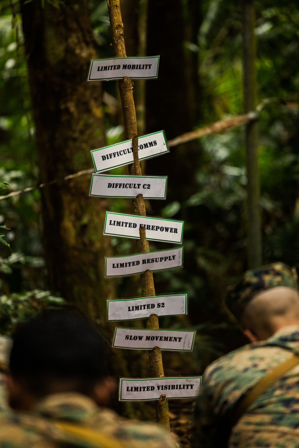 MRF-D 25.3: 3rd Bn., 11th Marines, receives classes on jungle survival