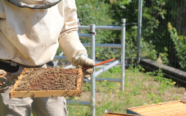 207th Military Intelligence Brigade - Theater, supports environmental and legal Efforts in Italy